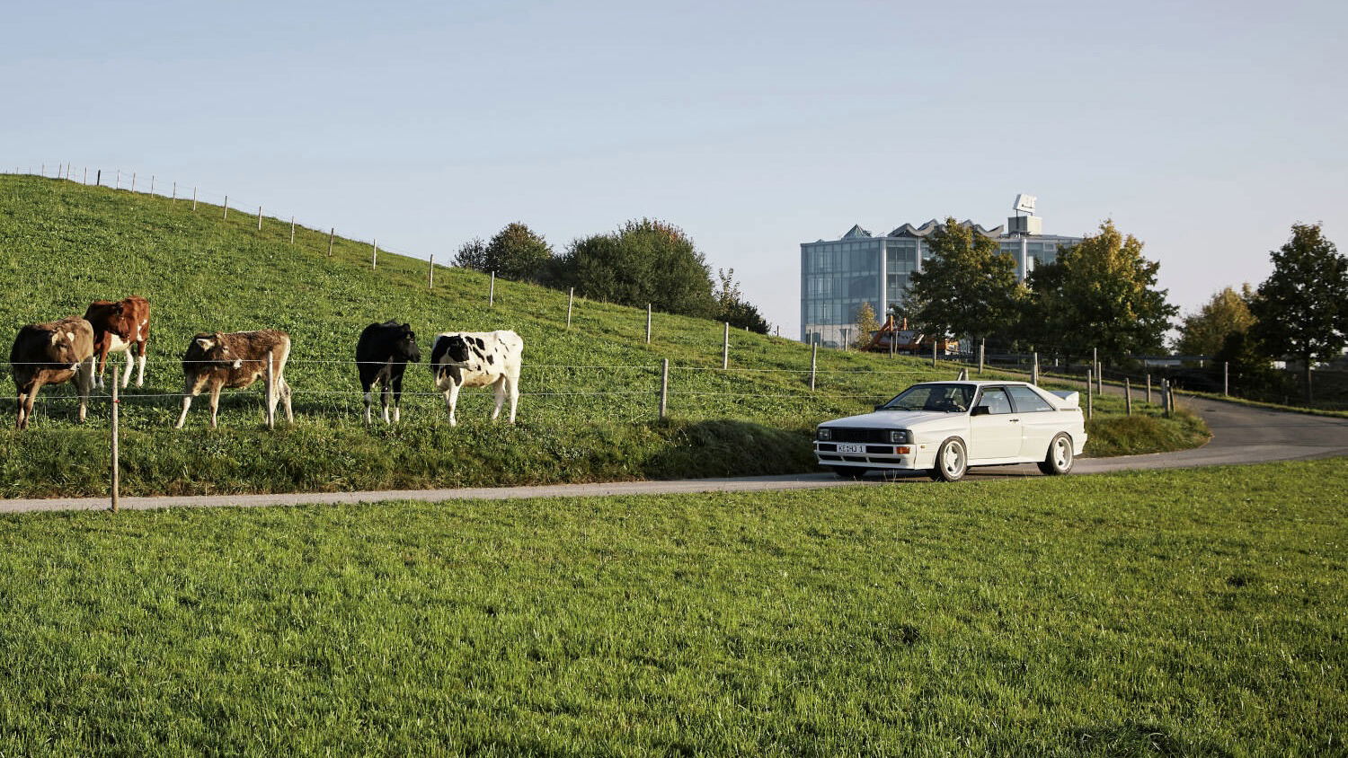 Abt Ur-Quattro - front